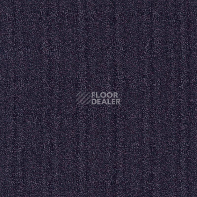 Ковровая плитка Modulyss Millennium Nxtgen Millennium Nxtgen 482 фото 1 | FLOORDEALER